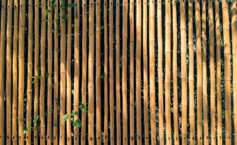 Bamboeschermen: een groene oplossing voor privacy in de tuin